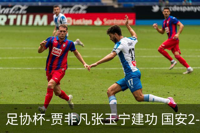 足协杯-贾非凡张玉宁建功 国安2-1大连可为晋级8强